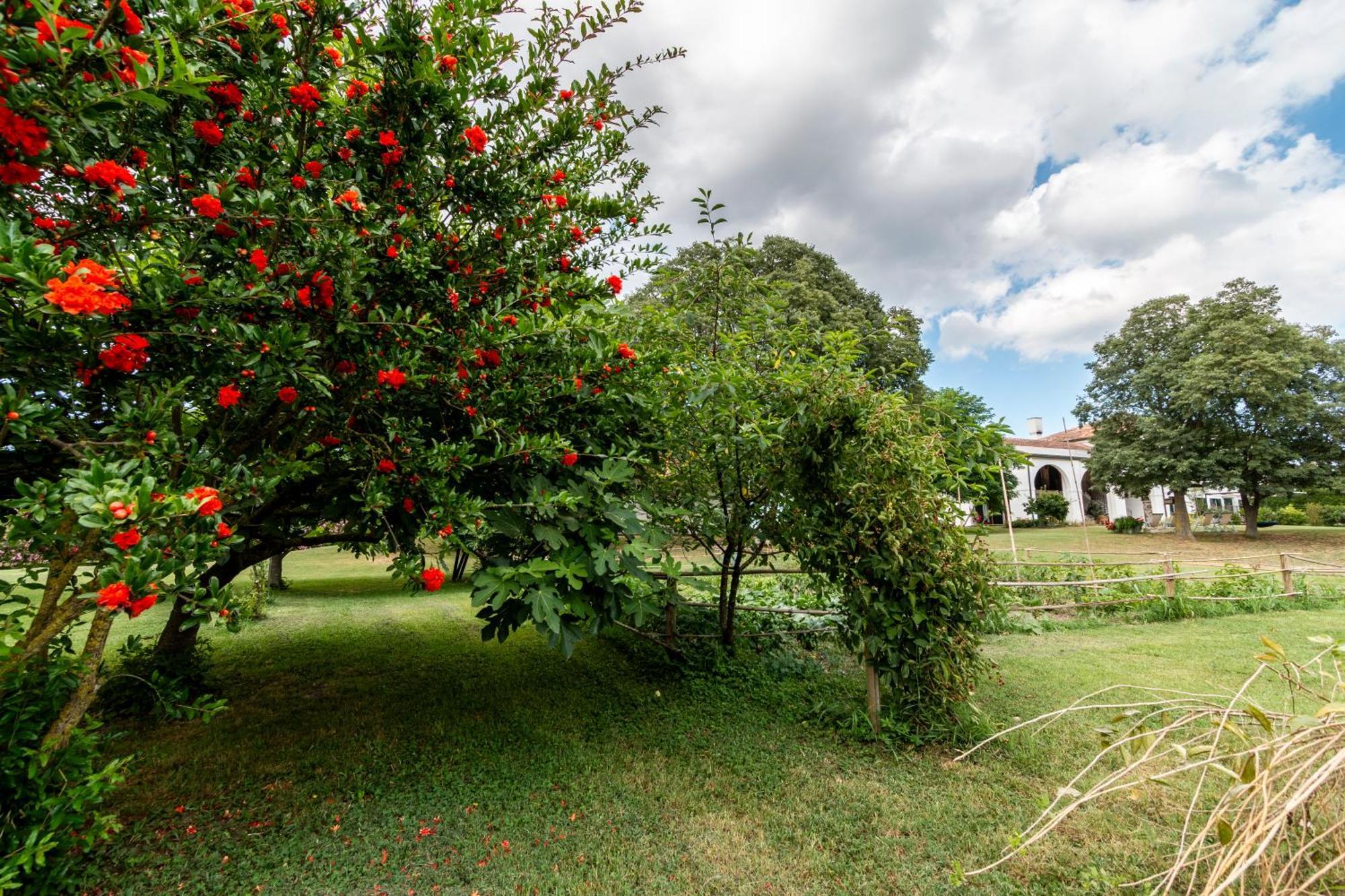 Agriturismo Monte Scala Taglio di Po Εξωτερικό φωτογραφία