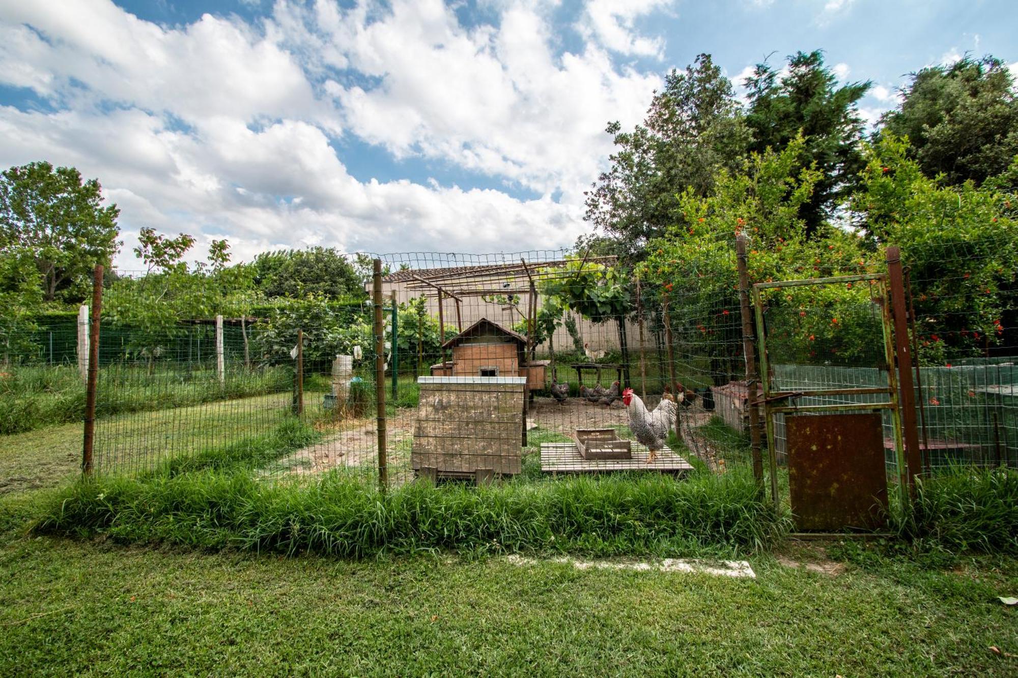 Agriturismo Monte Scala Taglio di Po Εξωτερικό φωτογραφία