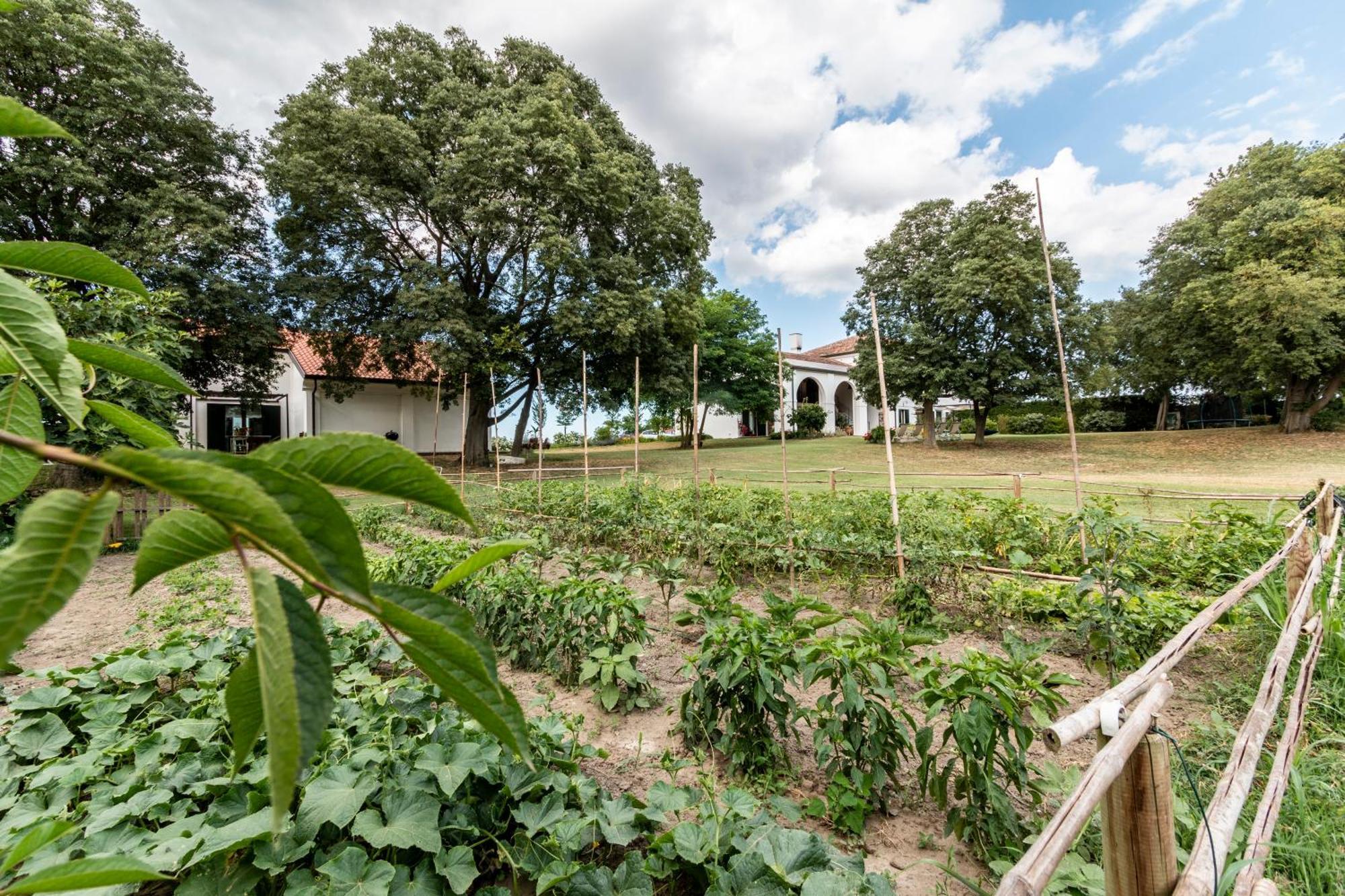 Agriturismo Monte Scala Taglio di Po Εξωτερικό φωτογραφία